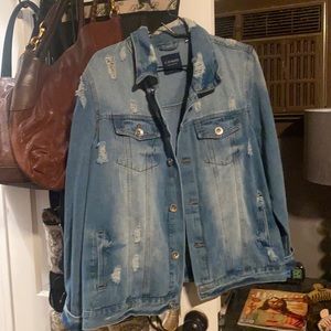 Cavalini denim collection